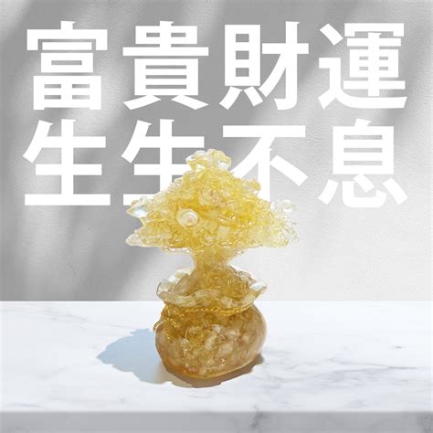 山蘇風水|山蘇風水指南：吉利之物，聚財發福！ 